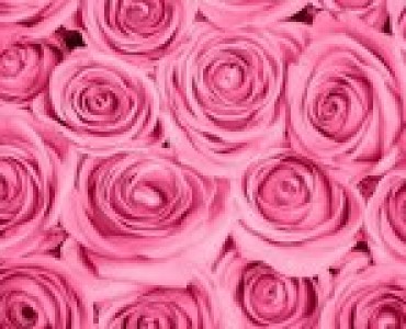Różowa Naklejka 